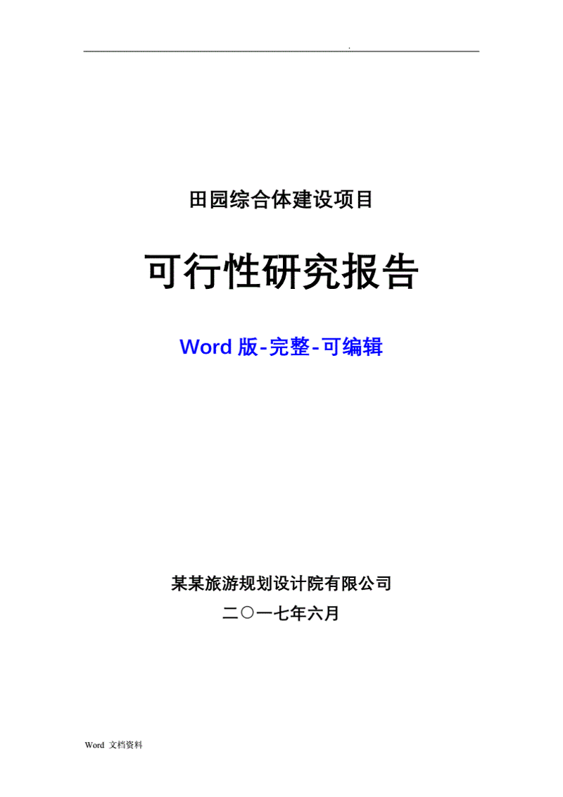 项目可行性报告